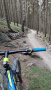 Trail Rubin Trail Rubin